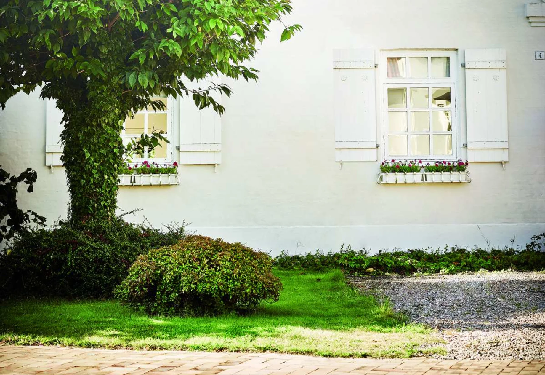 Hvidt hus med træ