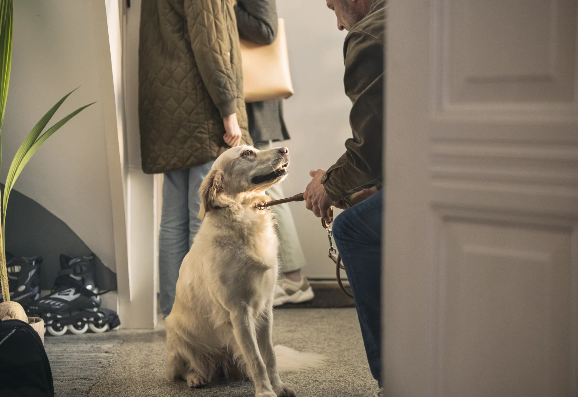 En hund i en entre med familie