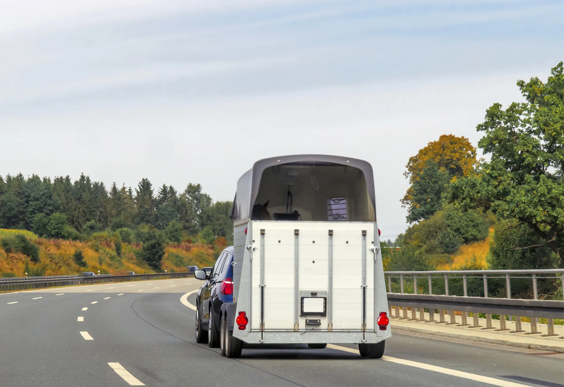Hestetrailer På Motorvej 