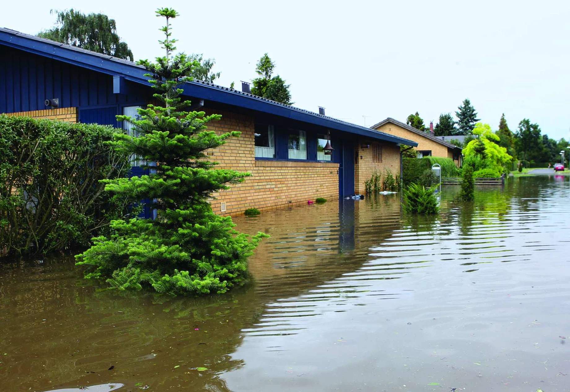 Oversvømmelse i haven