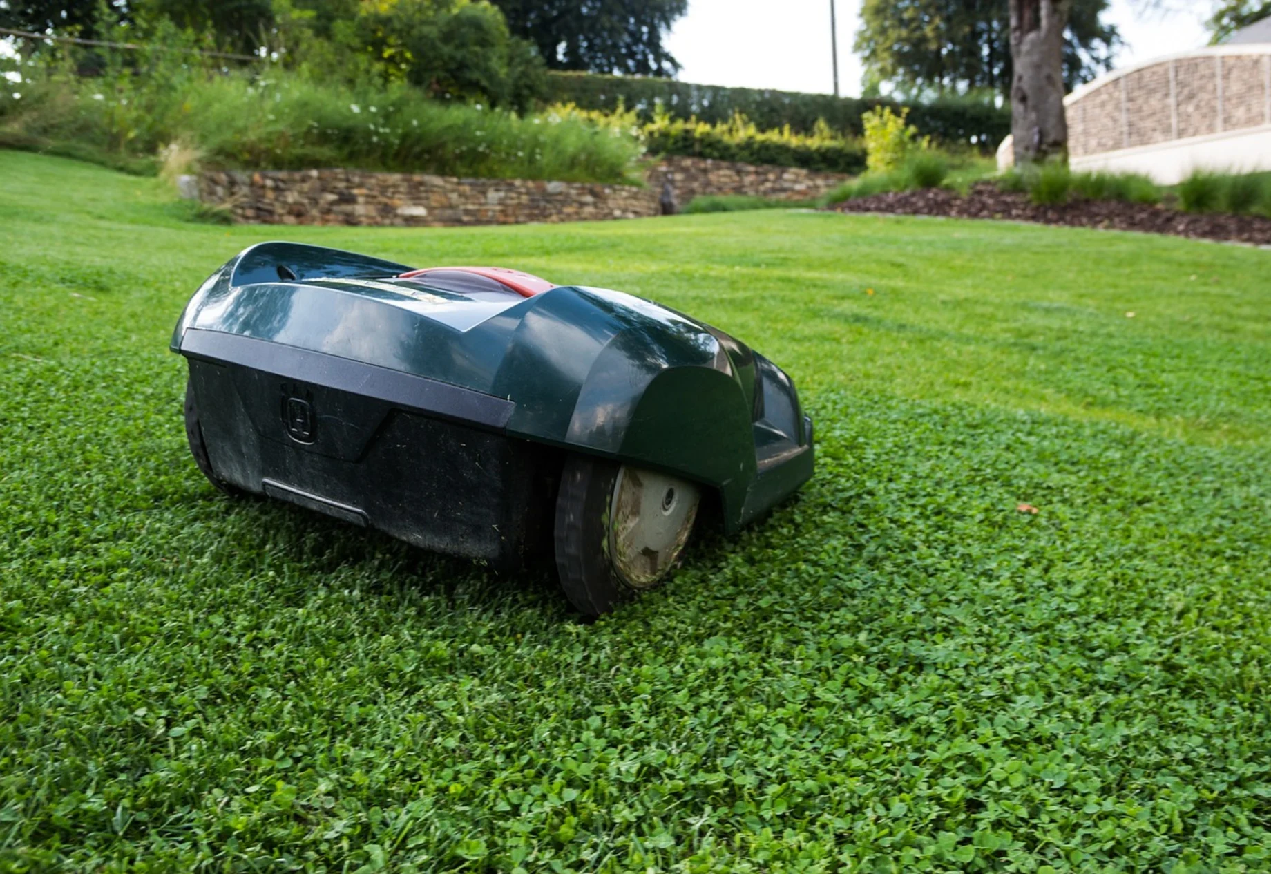 Robotplæneklipper