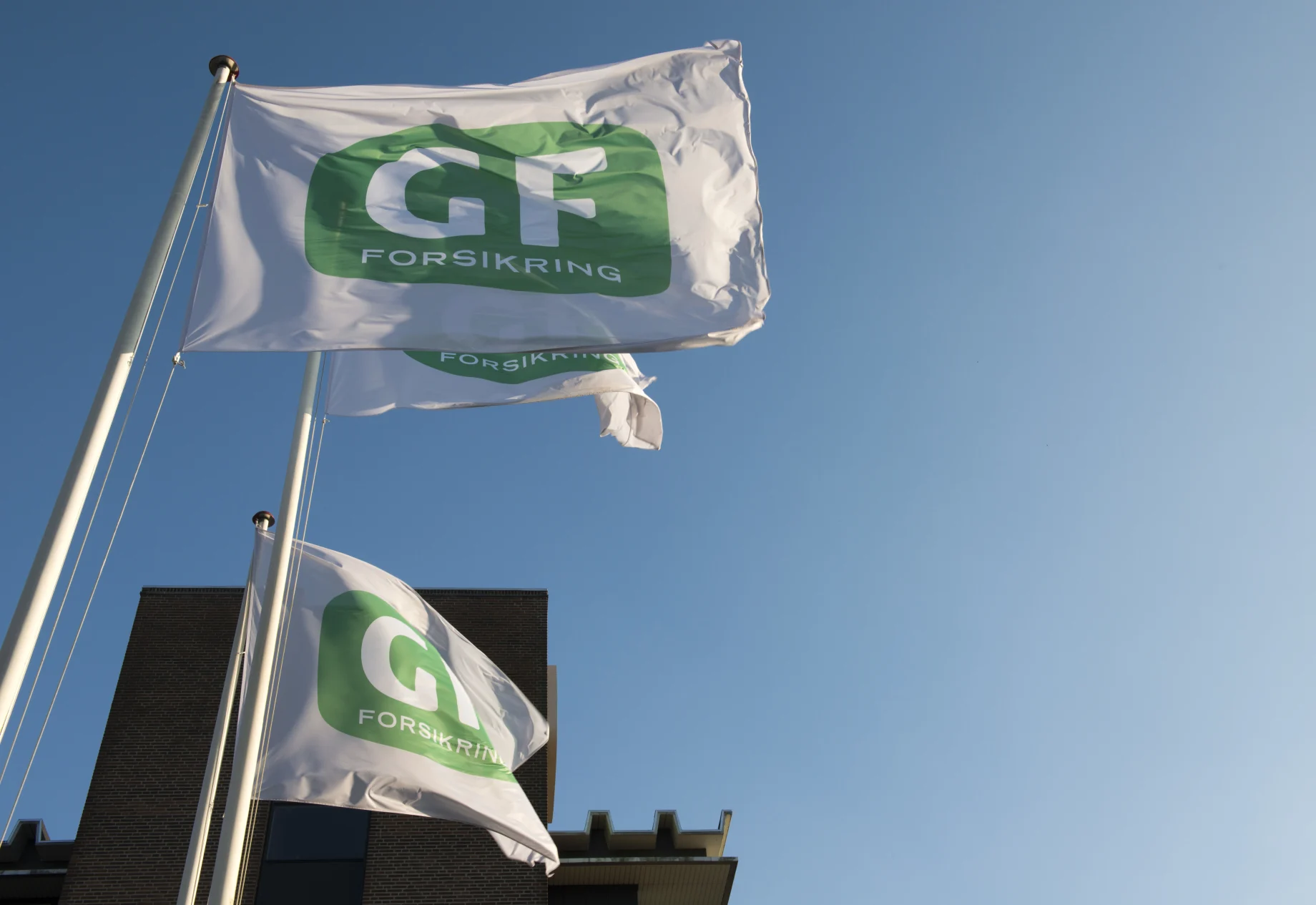 GF Flag