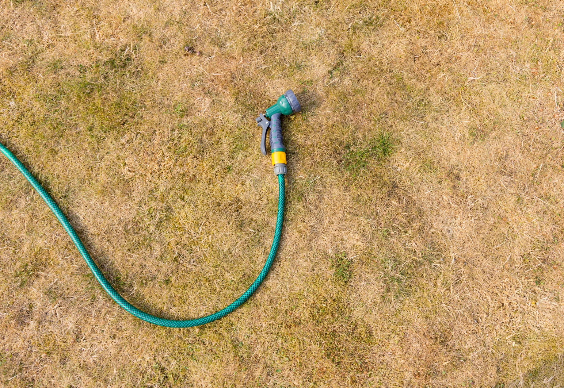 En haveslange på græs