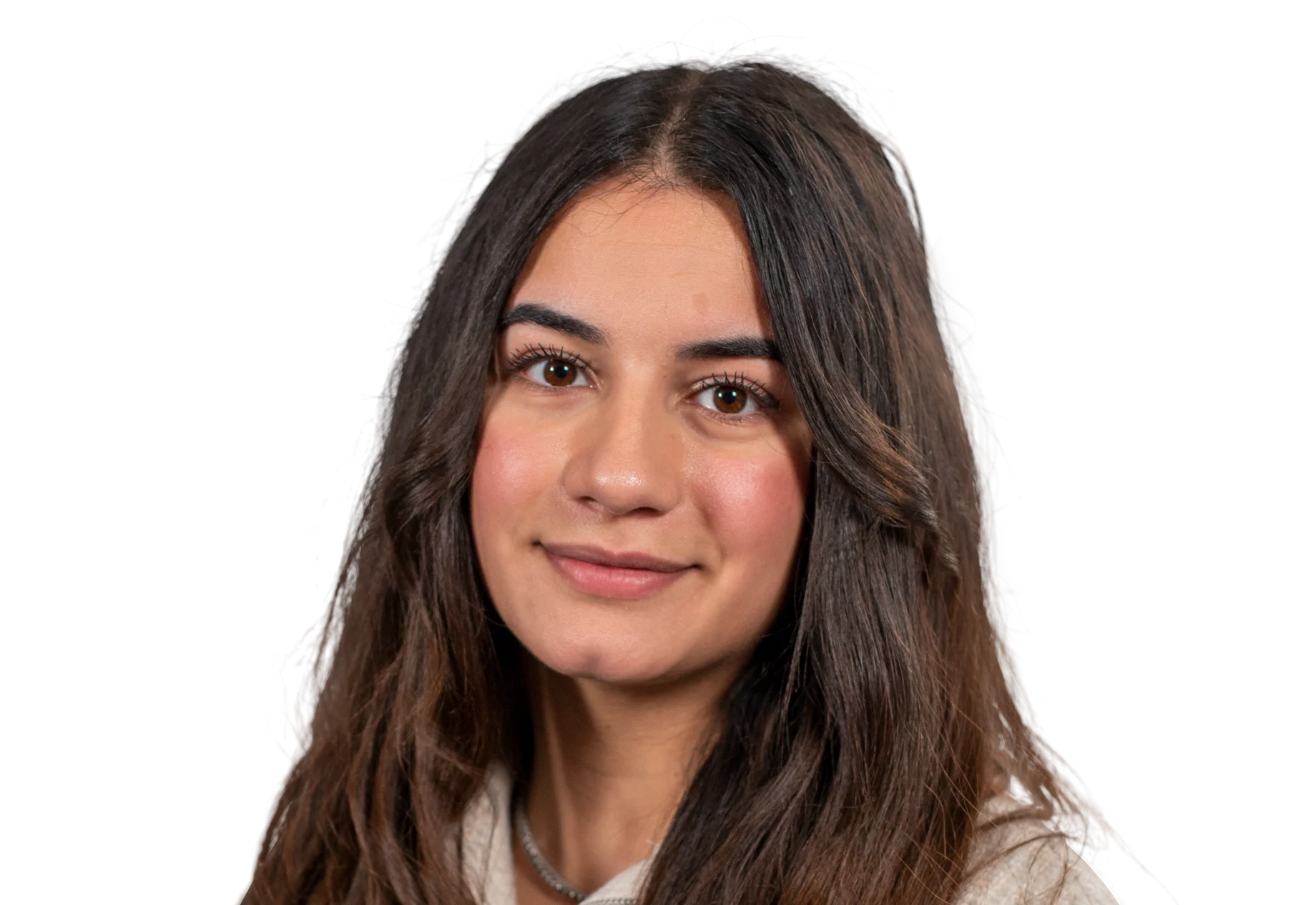 Et billede af en brunhåret pige