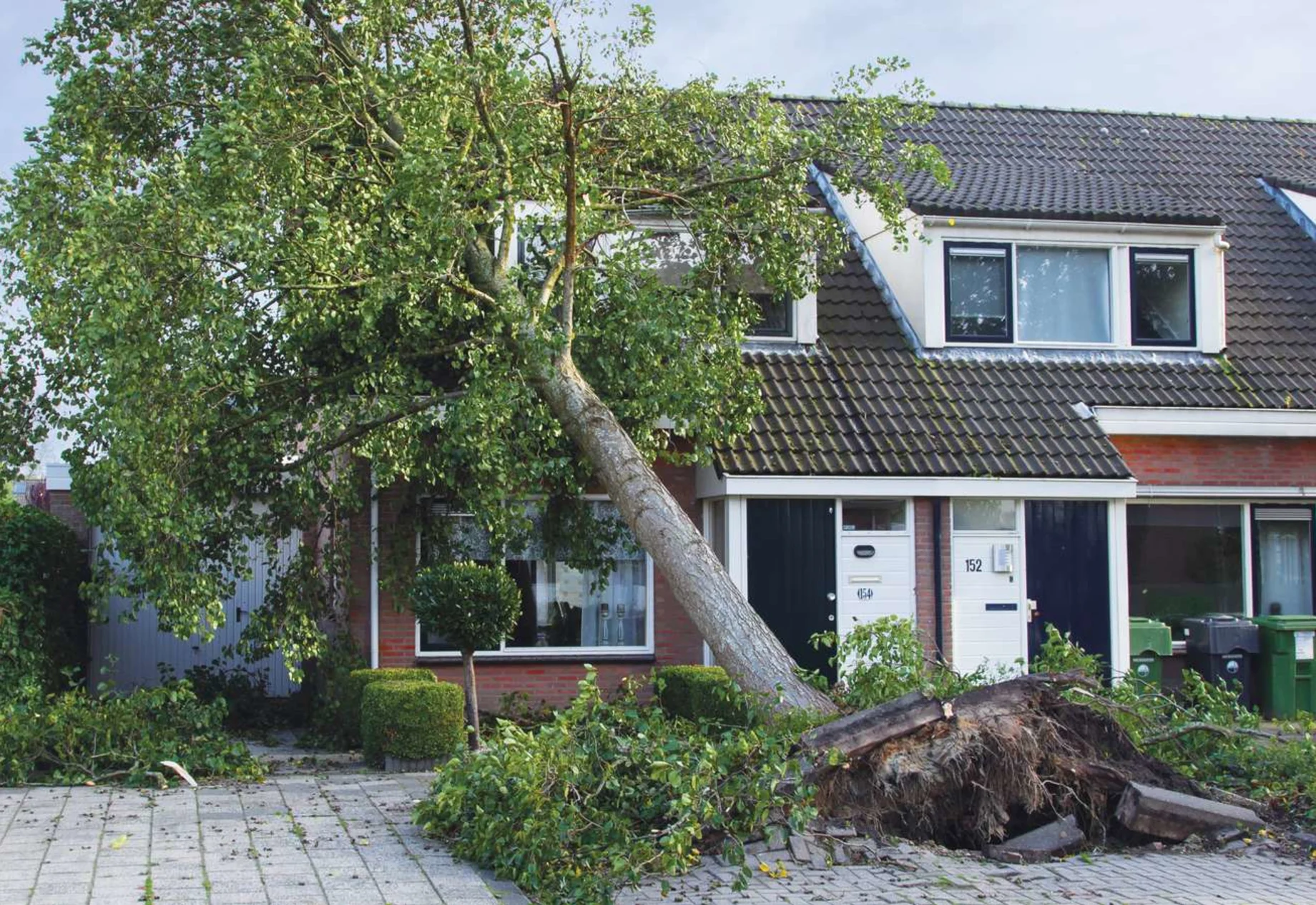 Et hus hvor der er væltet et træ ned i