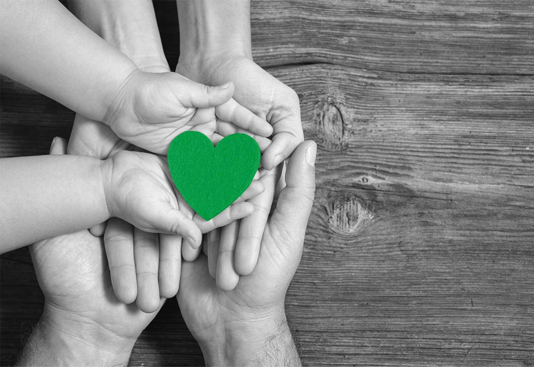 Grønt hjerte i hænder