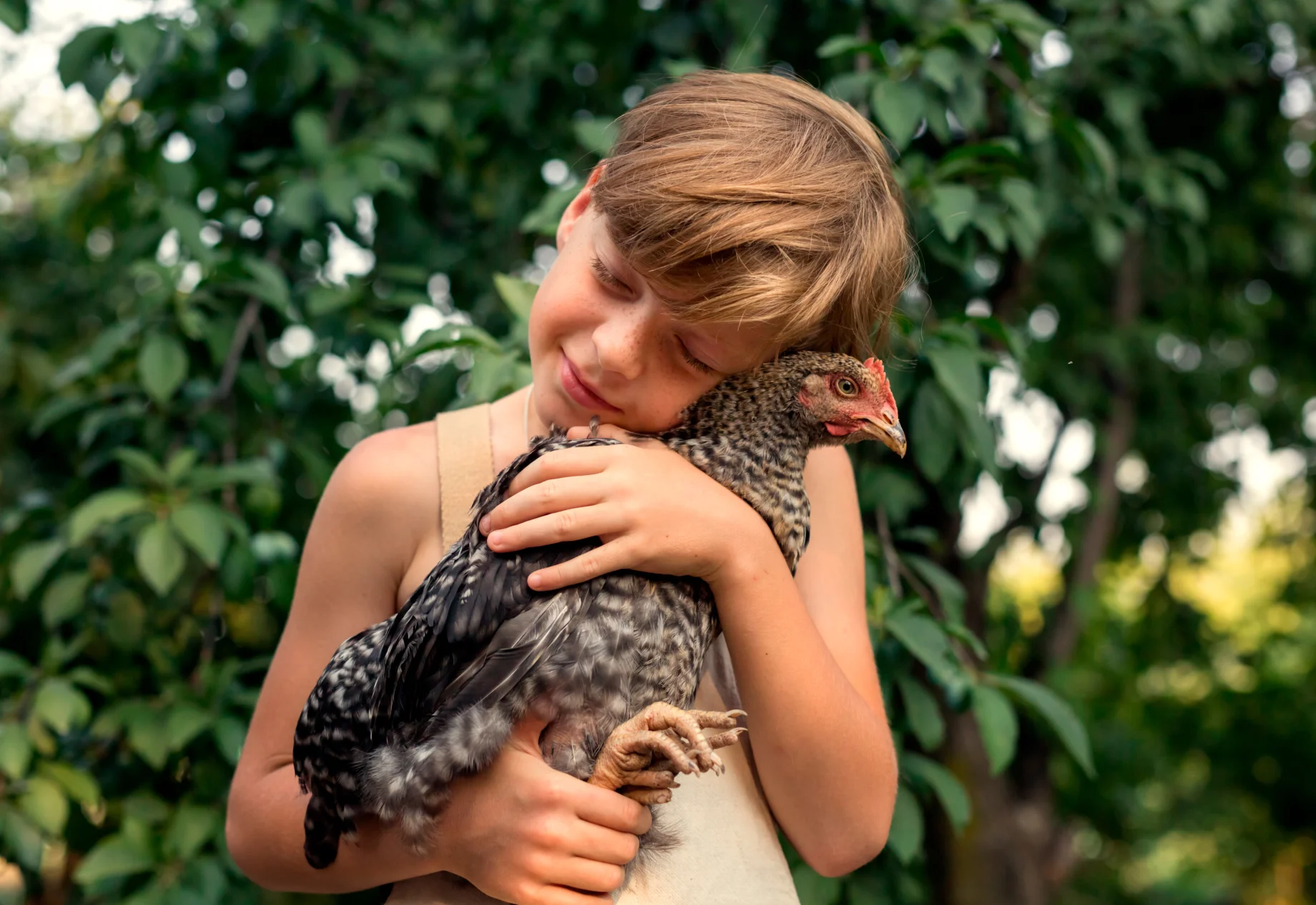 Dreng der holder en høne