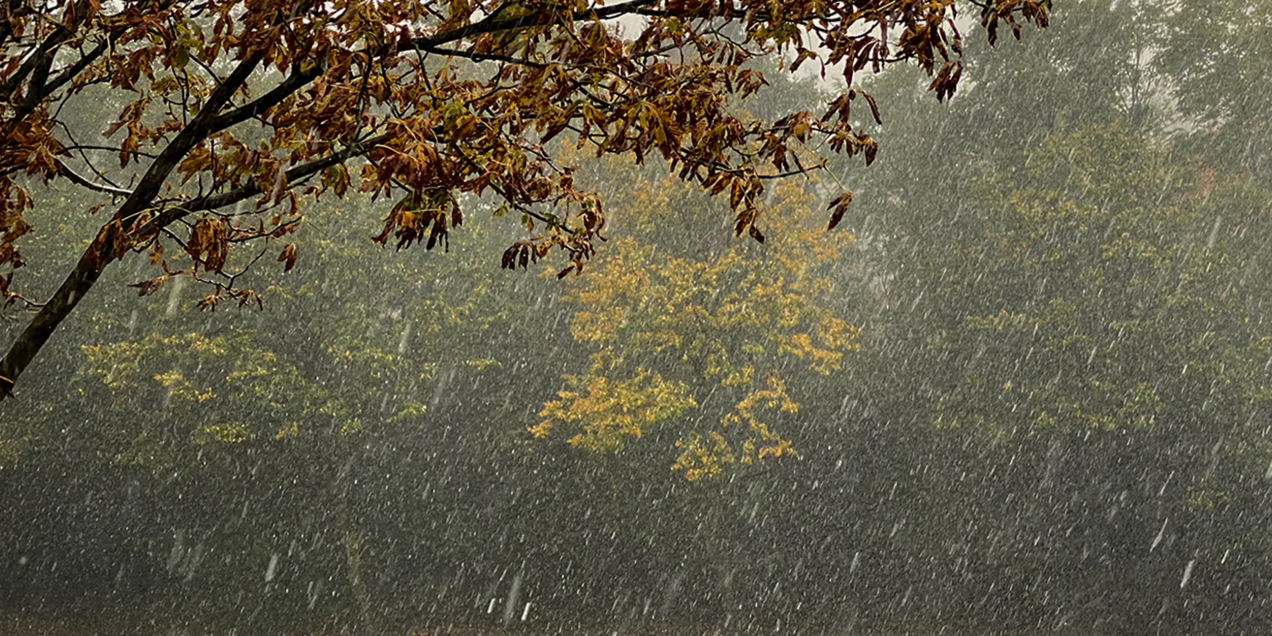 Er dit hus klar til vildt vintervejr?