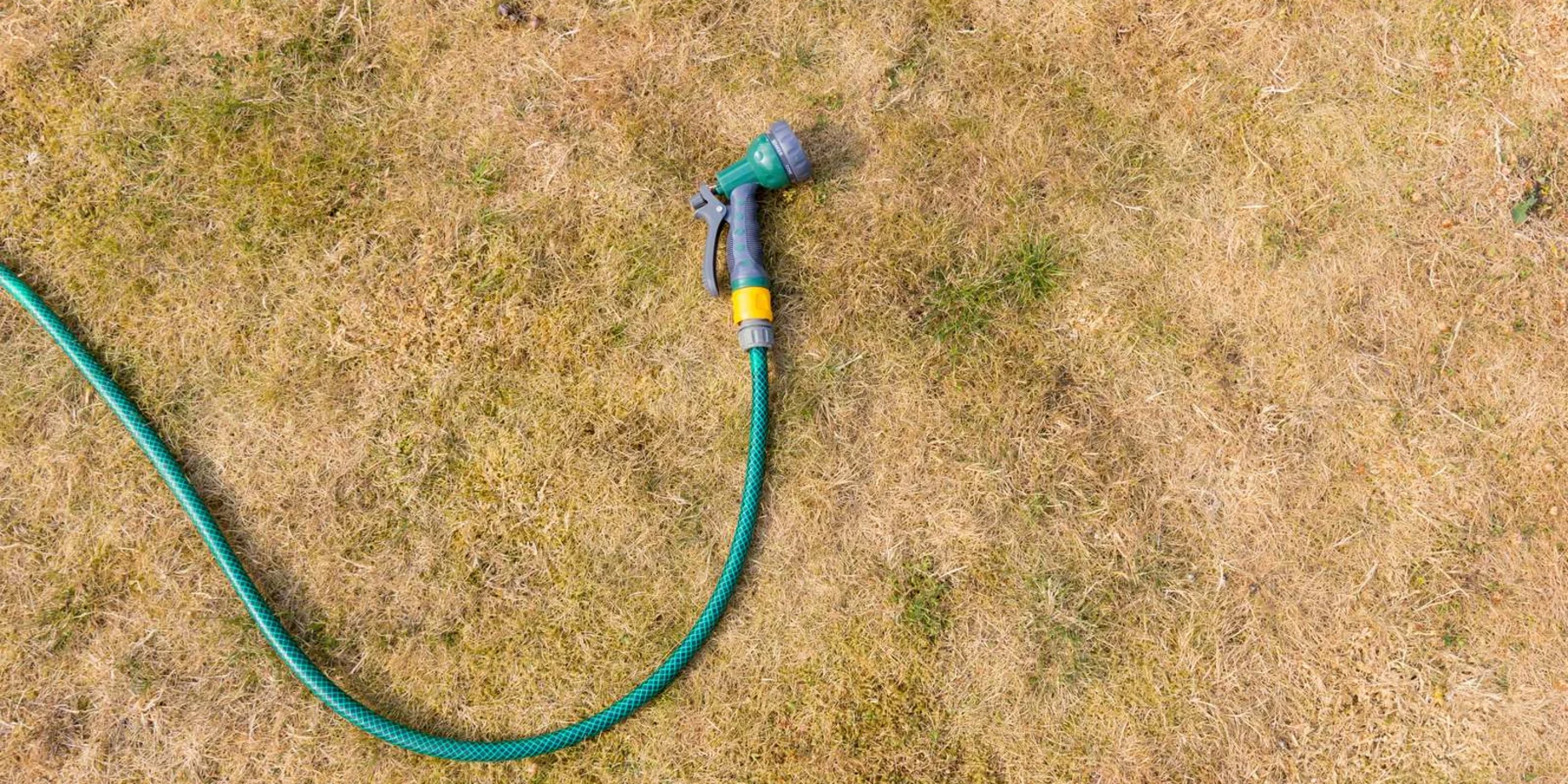 Vandslange på græsplæne