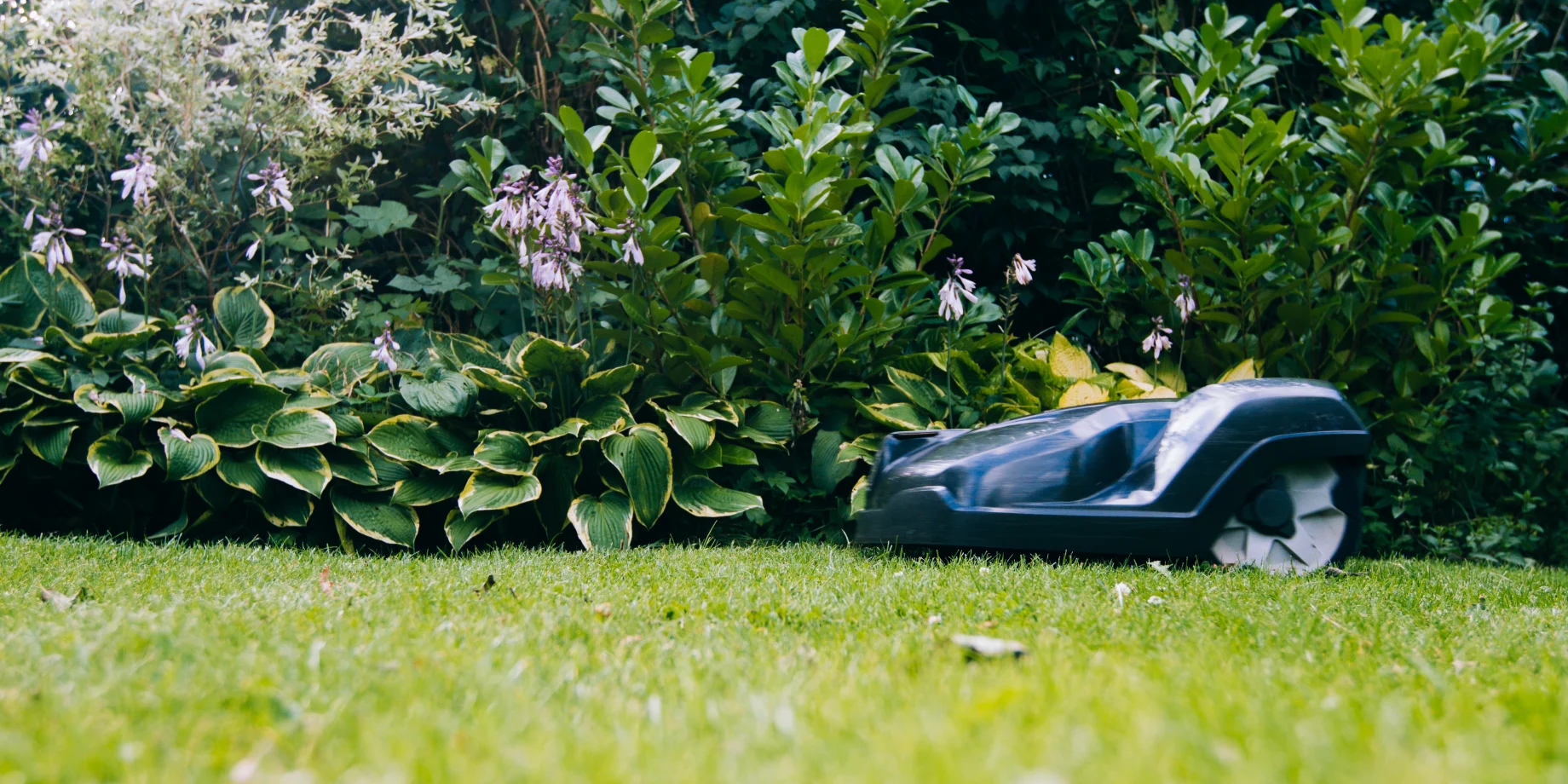 Sådan forsikrer du din robotplæneklipper