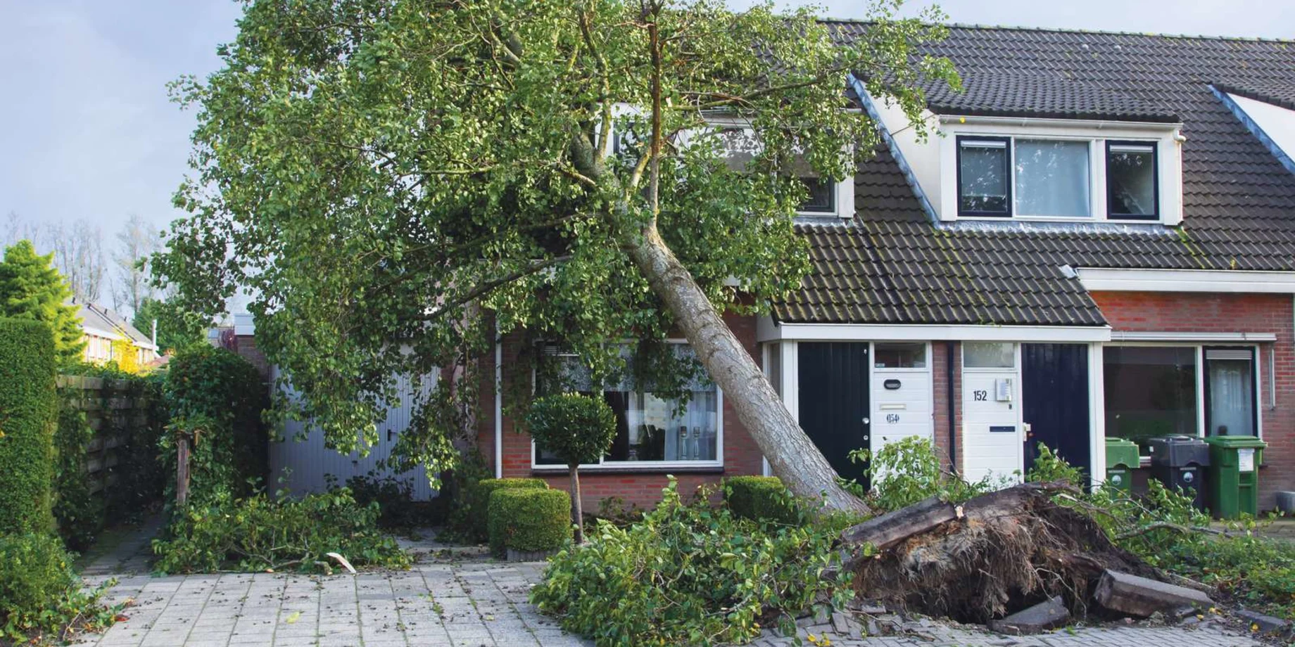 Et hus hvor der er væltet et træ ned i 